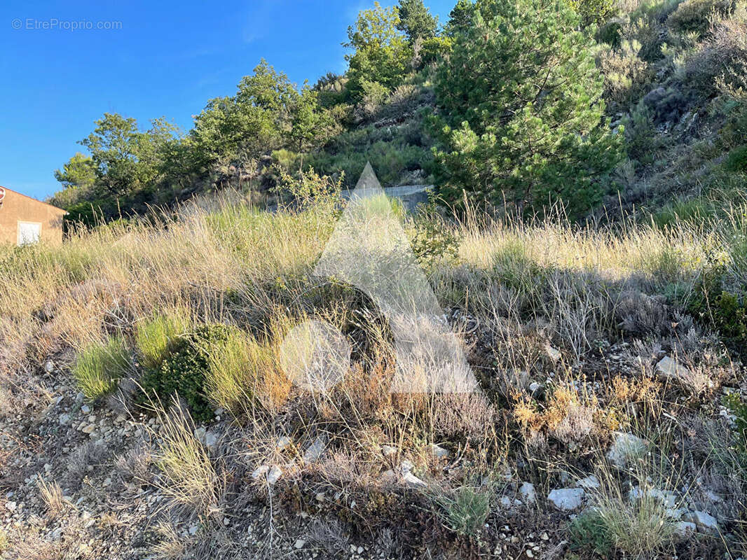 Terrain à SAINT-JURS