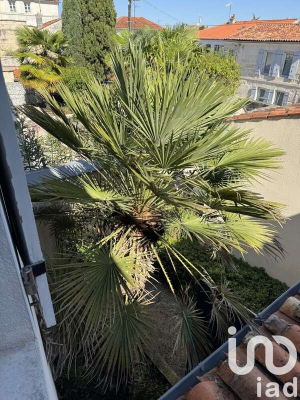 Photo 5 - Appartement à SAINTES