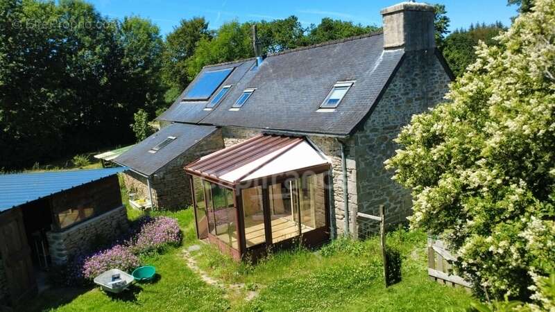 Maison en pierre – 2 500 m² de terrain – Calme absolu et nature - photo 3