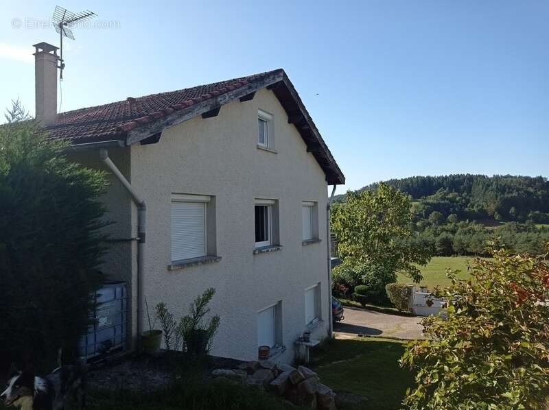 À VENDRE – Maison familiale avec piscine à La Chapelle-d'Aurec – À 5 minutes de Monistrol-sur-Loire - photo 7