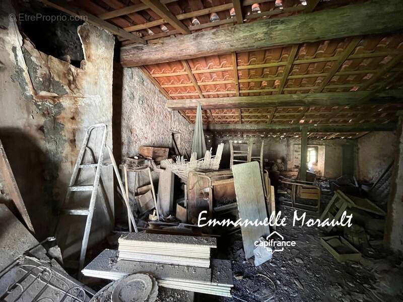 Commerce à BAGNOLS-EN-FORET