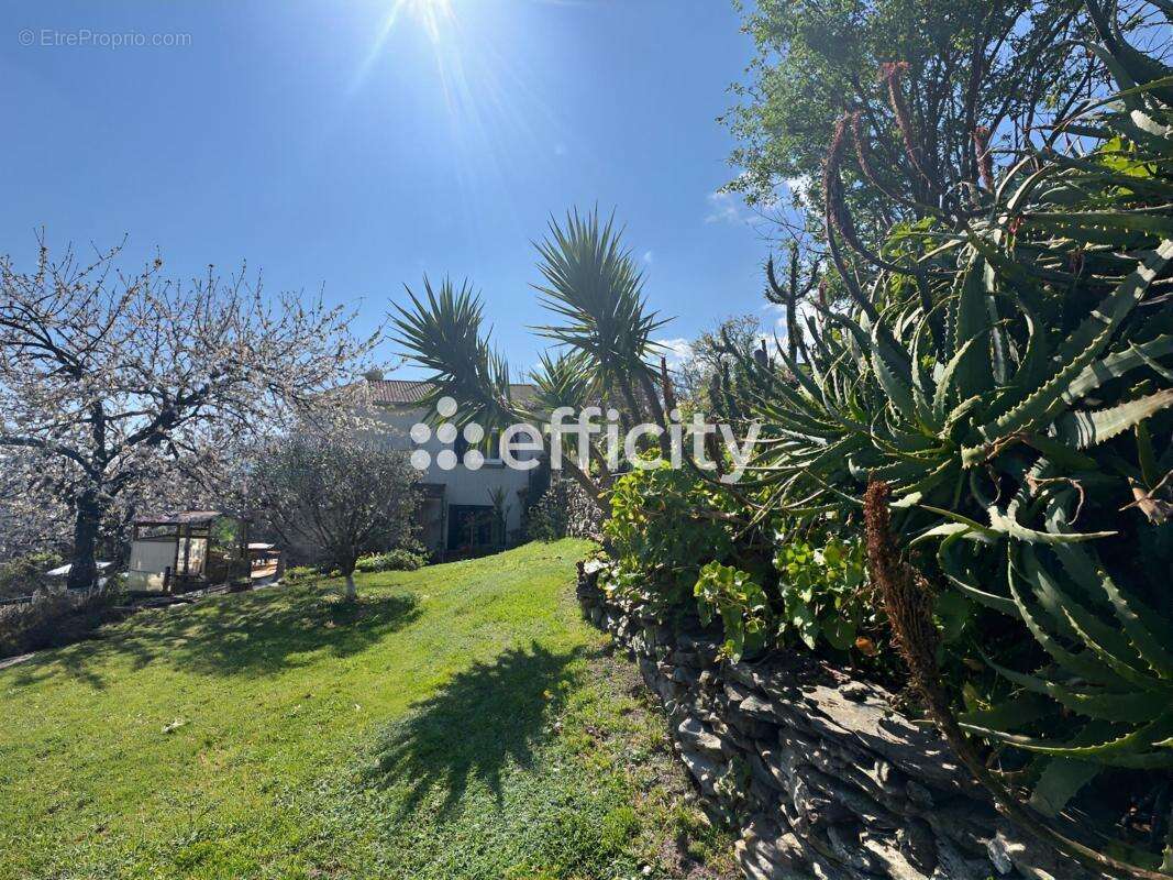 Maison à VELONE-ORNETO