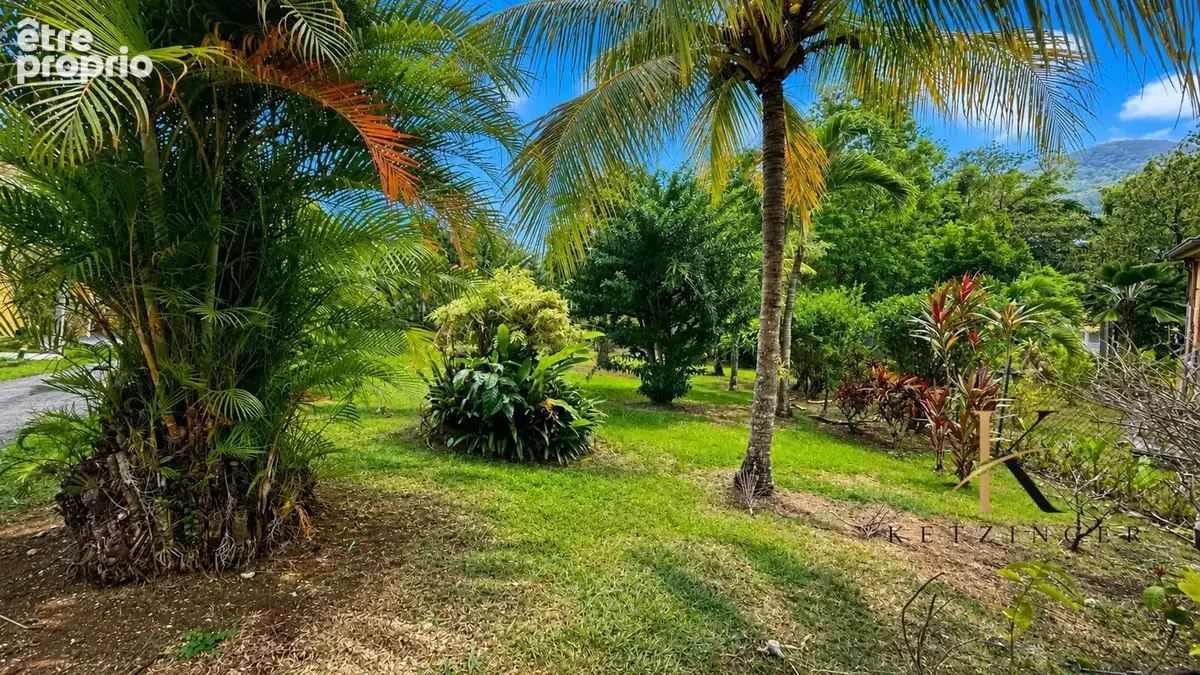 Jardin 