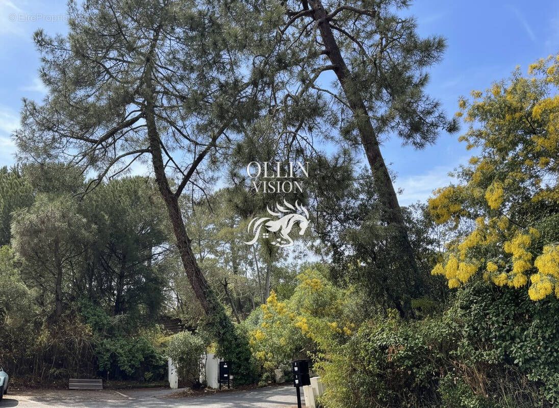 Maison à LE BOUSCAT