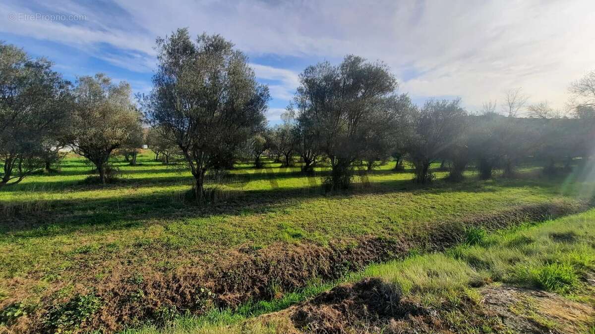 Terrain à QUISSAC