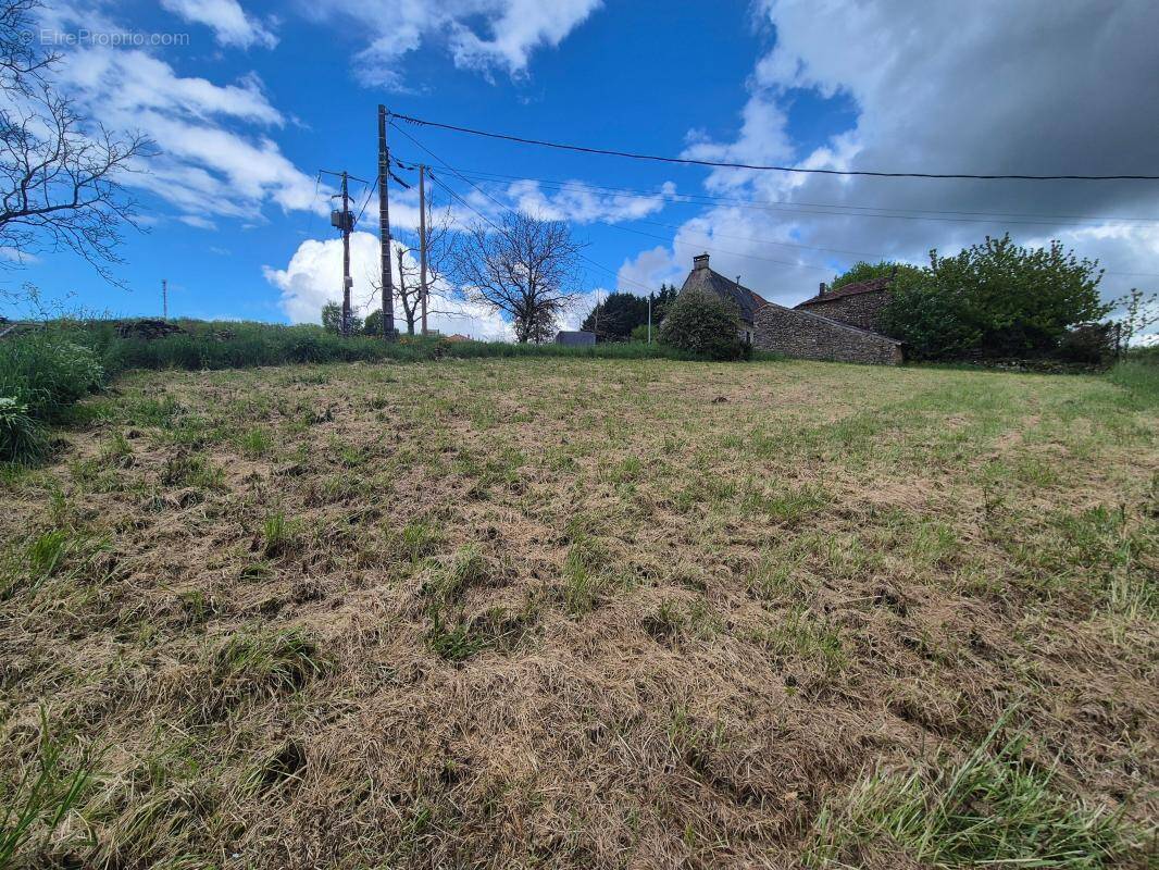 Terrain à TERRASSON-LAVILLEDIEU