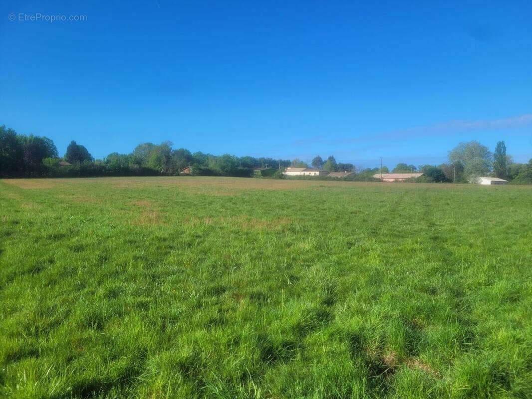 Terrain à LOUPES