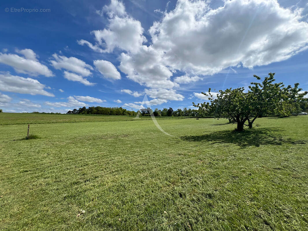 Terrain à CHISSAY-EN-TOURAINE