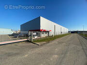 Commerce à SELESTAT