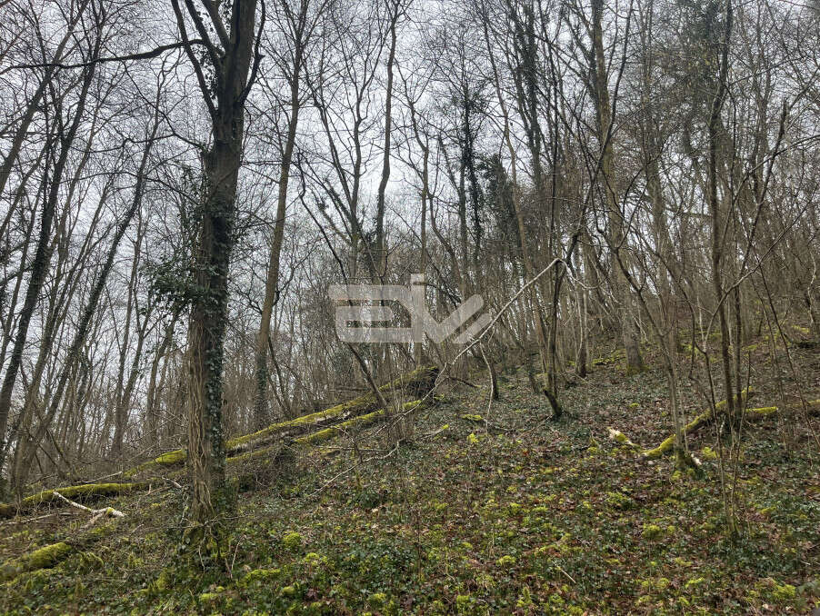 Terrain à VAILLY-SUR-AISNE