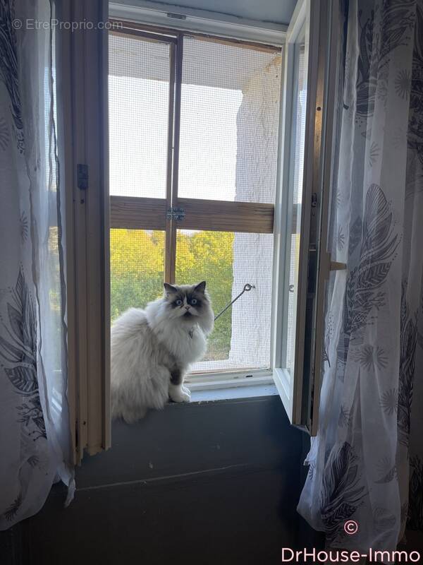 Maison à SAINT-APOLLINAIRE-DE-RIAS