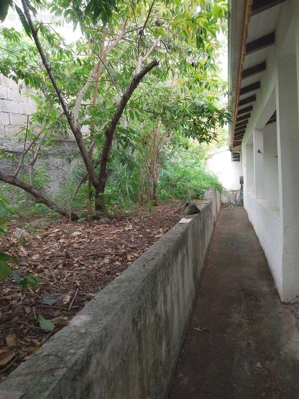 Maison à BASSE-TERRE