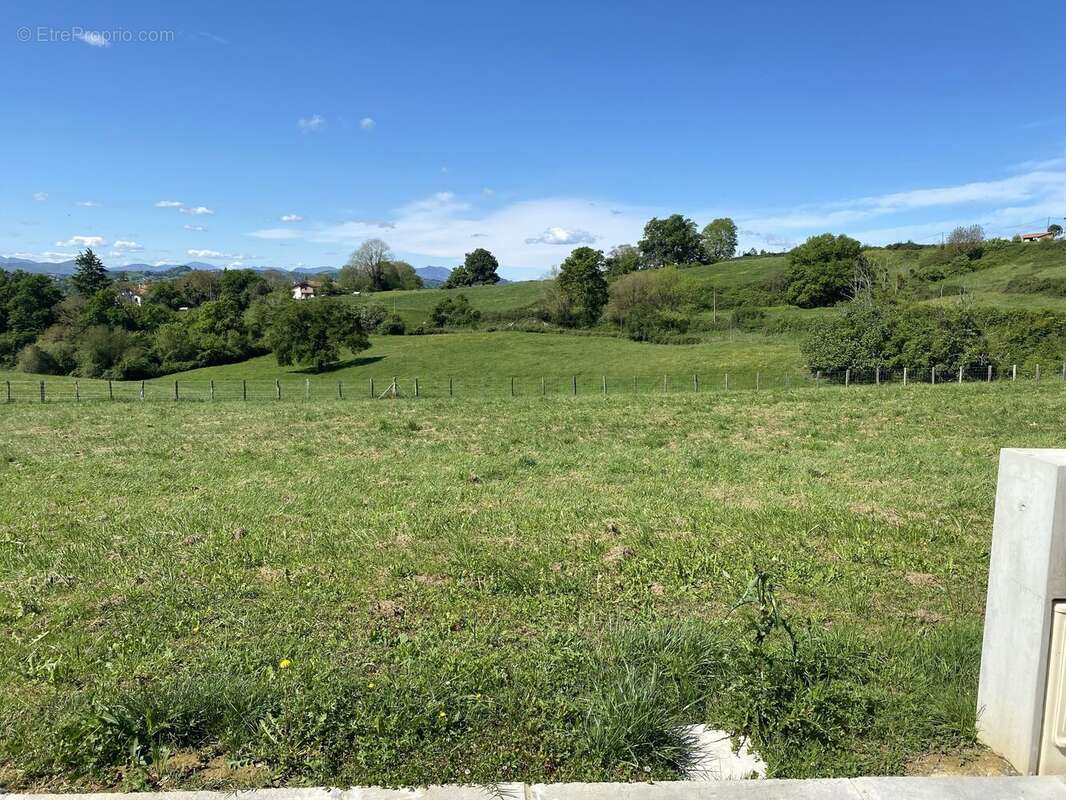 Photo 3 - Terrain à ARBOUET-SUSSAUTE