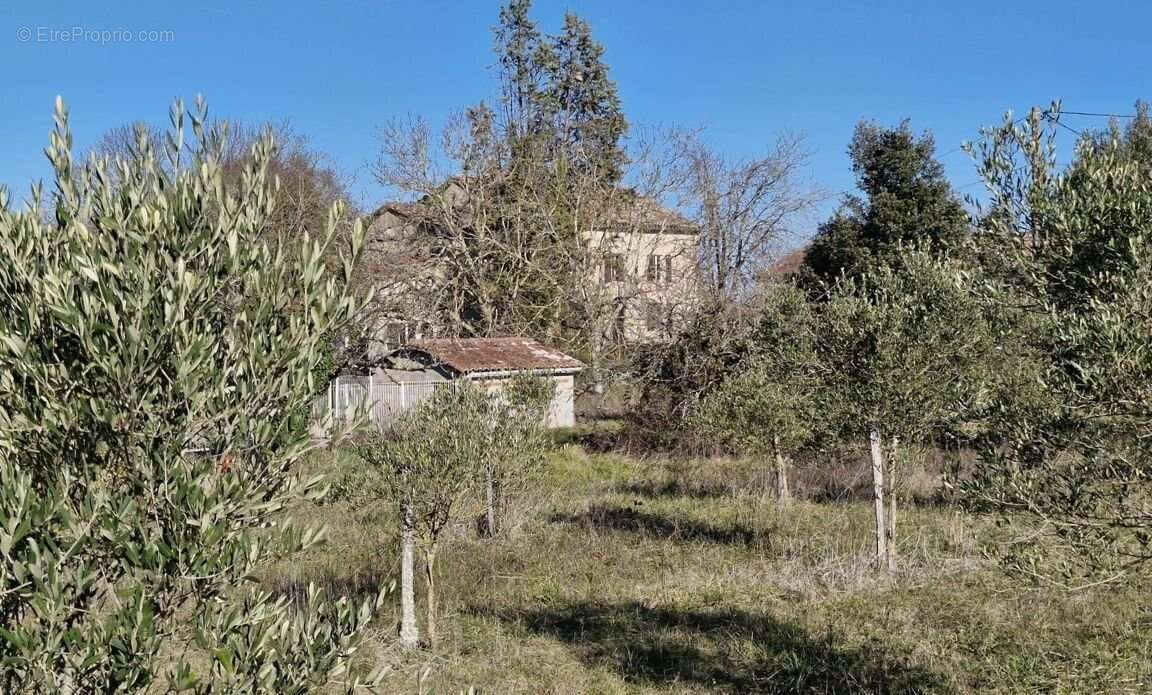 Maison à CORDES-SUR-CIEL