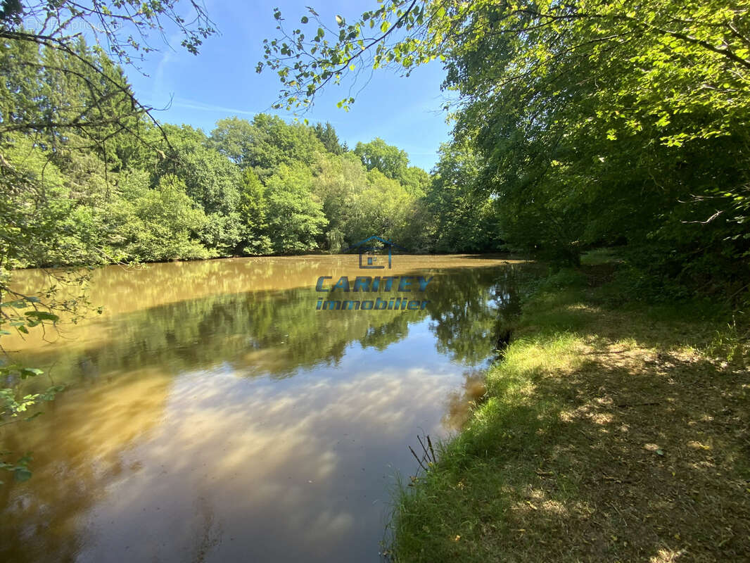 Etang de 30 ares environ sur un terrain de 75 ares avec abri de pêche à FRAHIER (70400) - photo 6