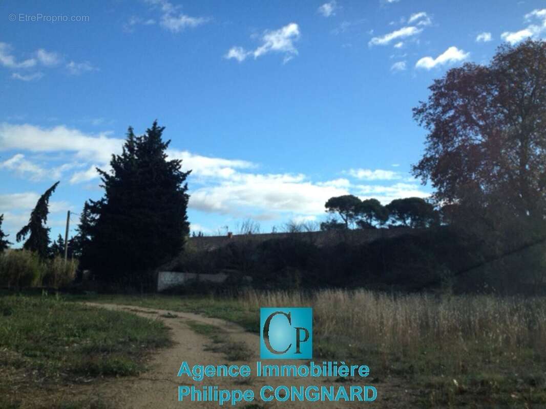 Photo 7 - Appartement à COLOMBIERS