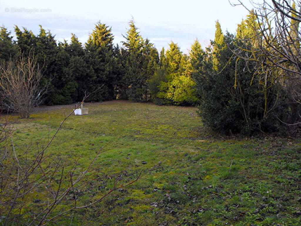 Terrain à CASTELNAUDARY