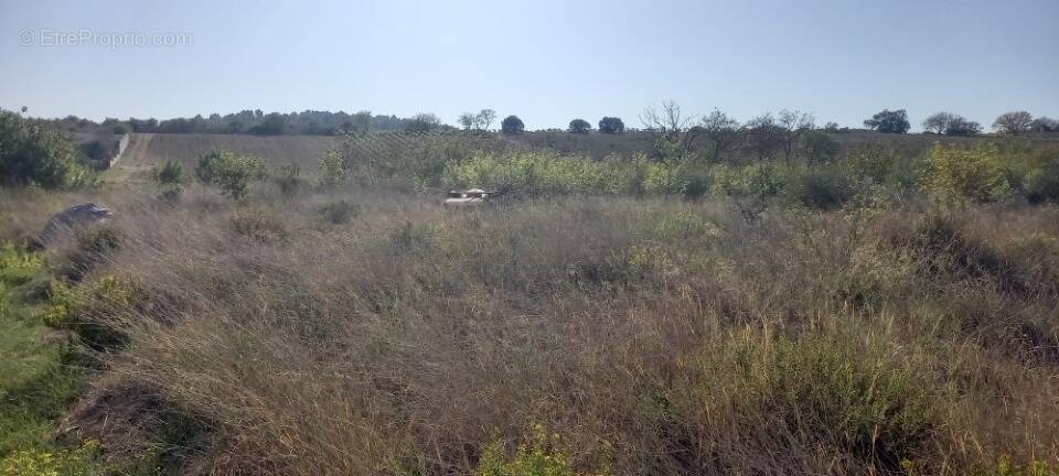 Terrain à PORTEL-DES-CORBIERES