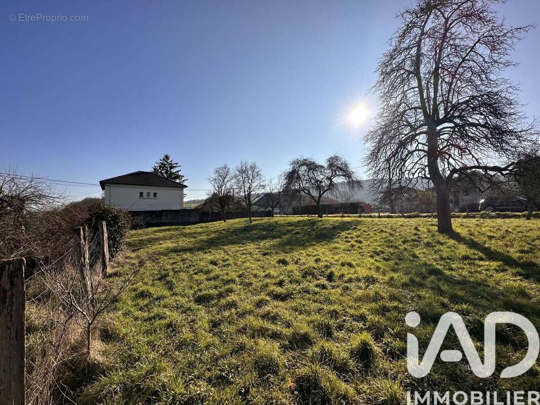 Photo 6 - Terrain à RACHECOURT-SUR-MARNE