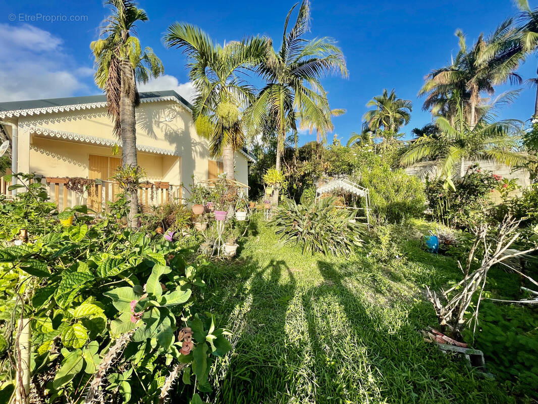 Maison à PETITE-ILE