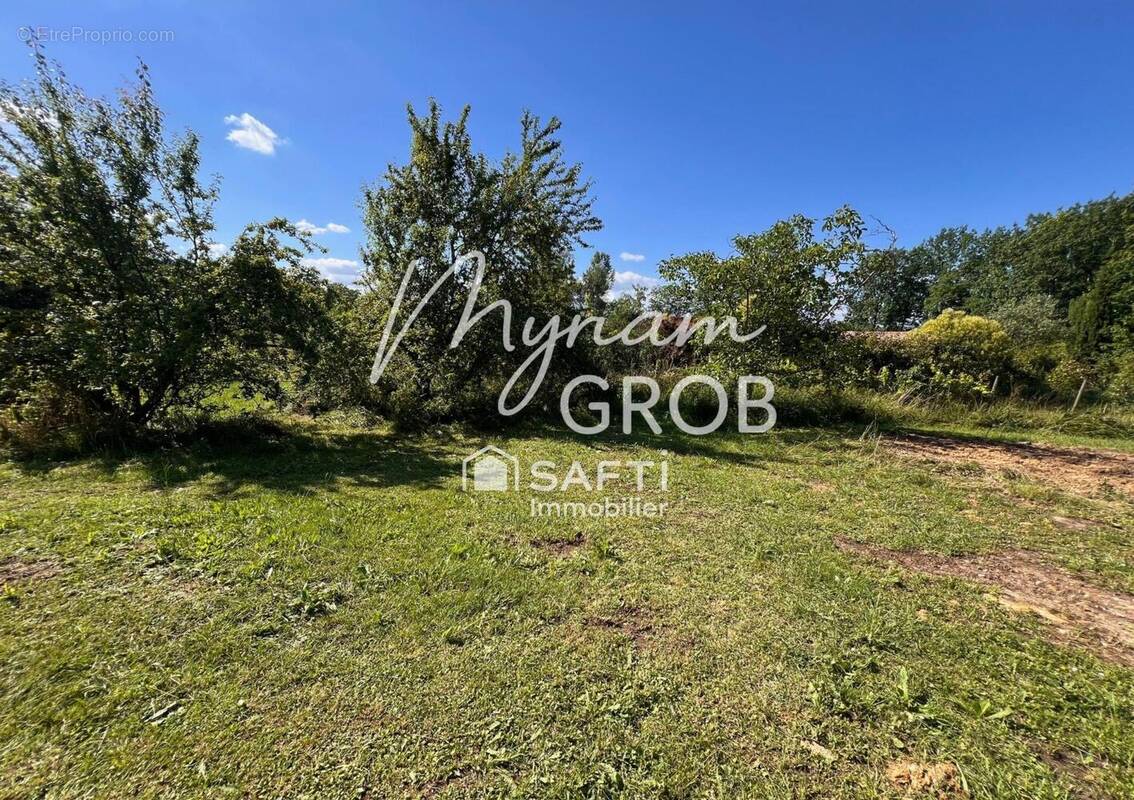 Photo 1 - Terrain à MONTAUBAN