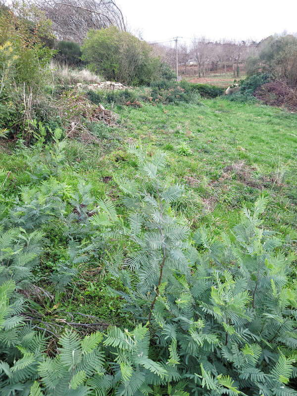 Terrain à PLEUMEUR-BODOU
