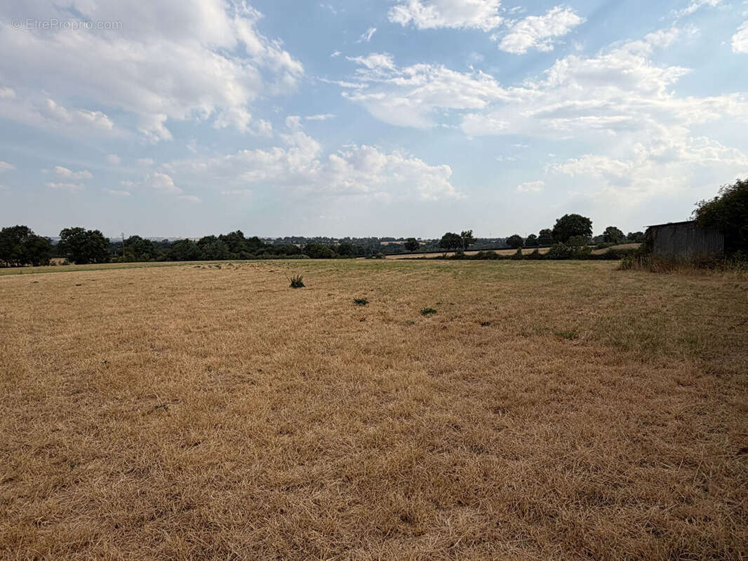 Grange Chemille 3 pièce(s) 400 m2, terrain 3500m² - photo 5