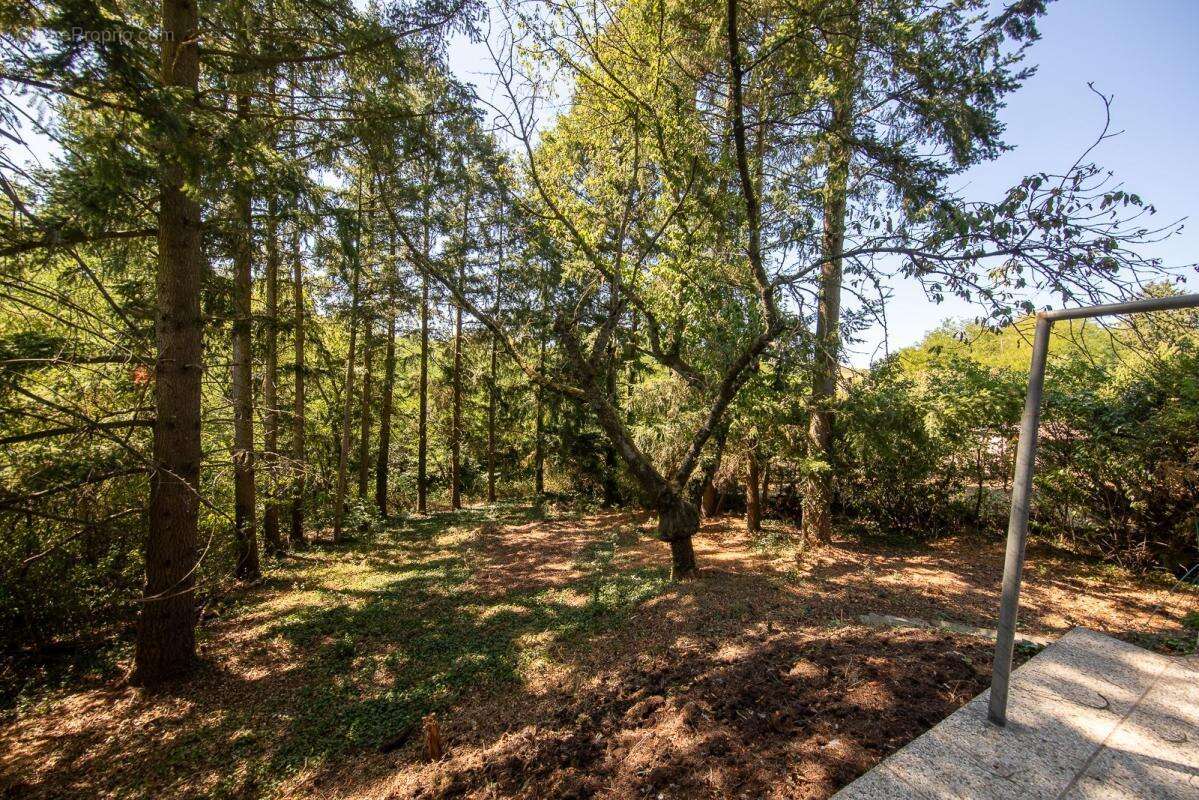 HURIGNY – Chalet suisse d'exception de 110m² sur 2 400 m² de terrain sans vis-à-vis – Fort potentiel de rénovation ! - photo 6