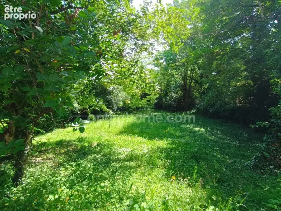Maison à vendre à Collonges-au-Mont-d’Or (69660) – 170 m² sur terrain de 1 700 m² à bâtir - photo 19