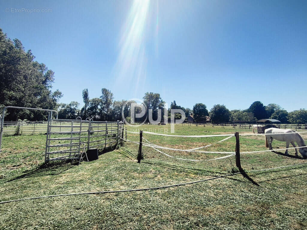 Propriété Equestre Bernay Saint Martin - photo 11