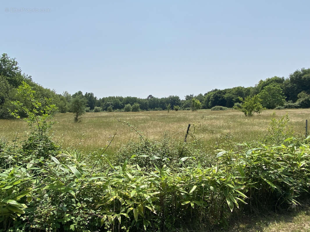 Élégante maison de campagne en pierre   280 m2 habitables   Parc arboré de 11,9 hectares - photo 17