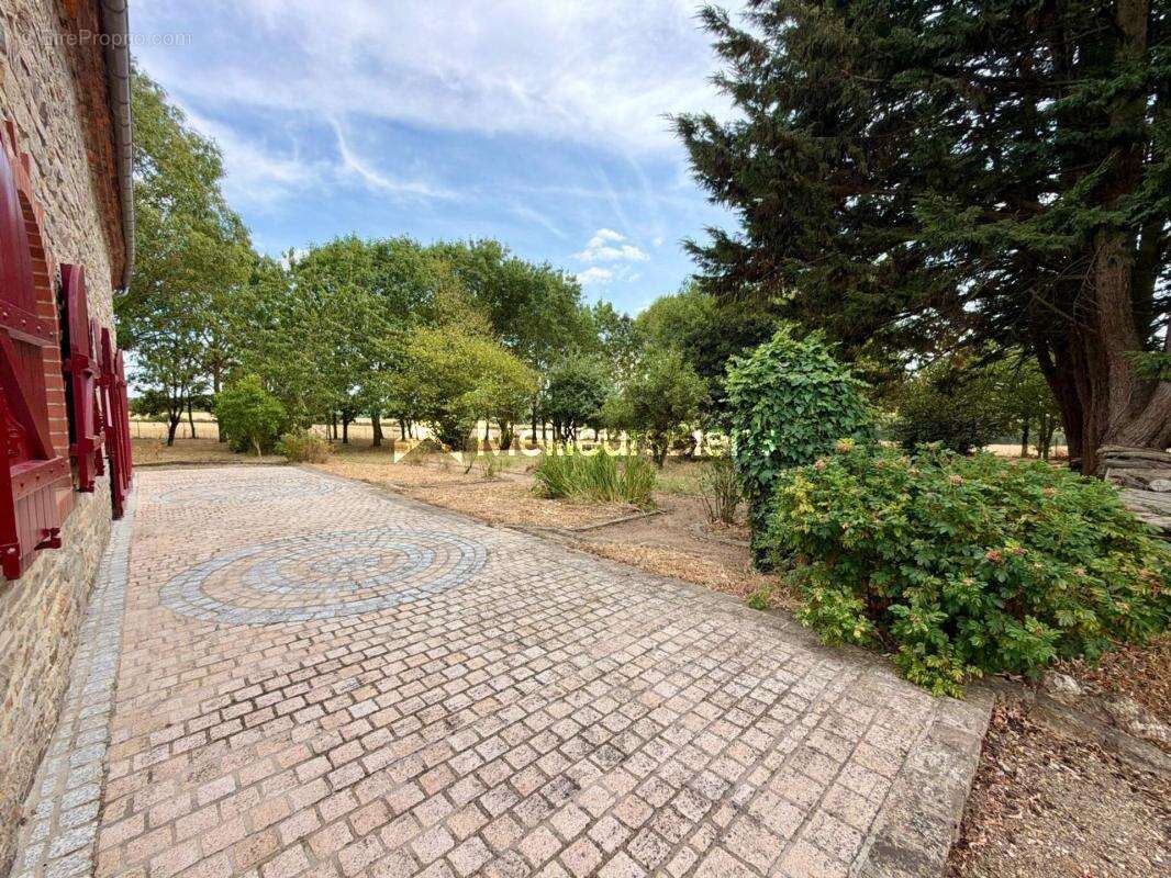 Maison en pierres de plain-pied avec dépendances sur 2,5 hectares – Saint-Saturnin-du-Limet (à 5 min de Renazé) - photo 6
