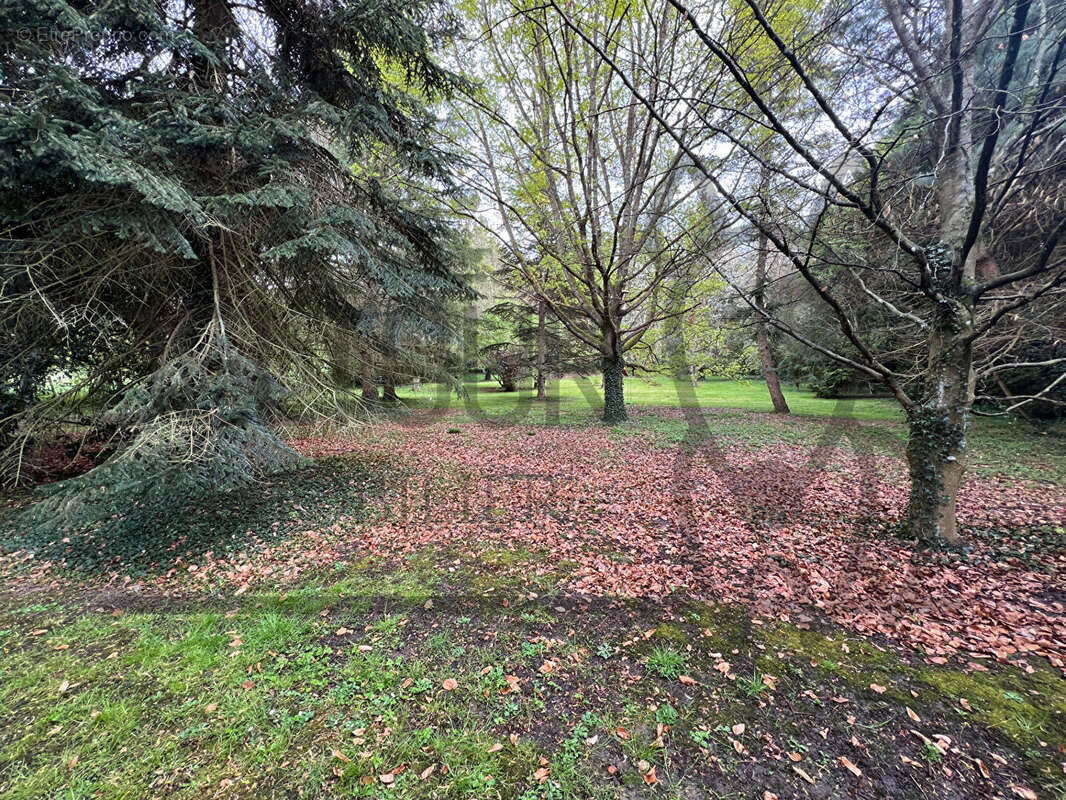 Maison à COULOMMIERS