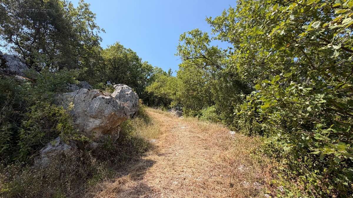 Terrain À Vendre 1500 m² - photo 6