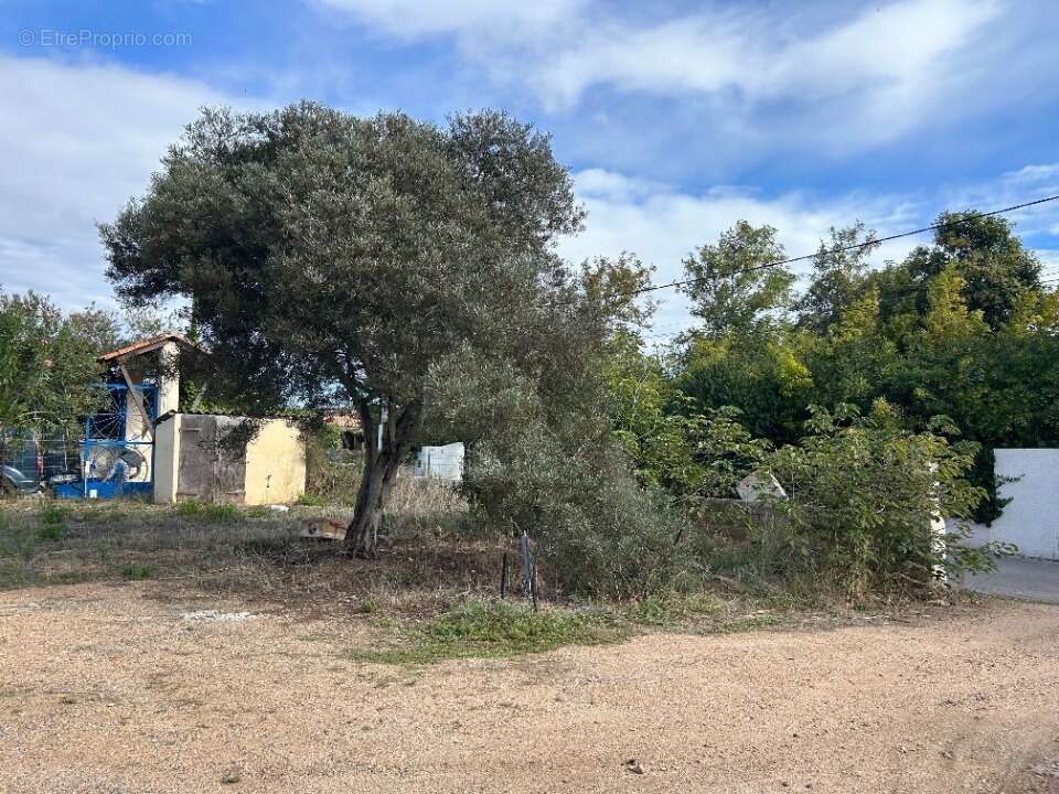 Terrain à MARSEILLAN