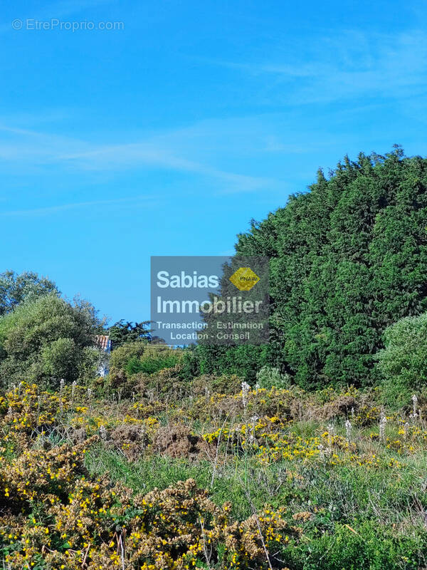 Terrain à L'ILE-D'YEU