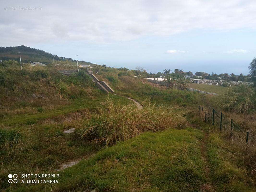 Terrain à SAINT-LEU