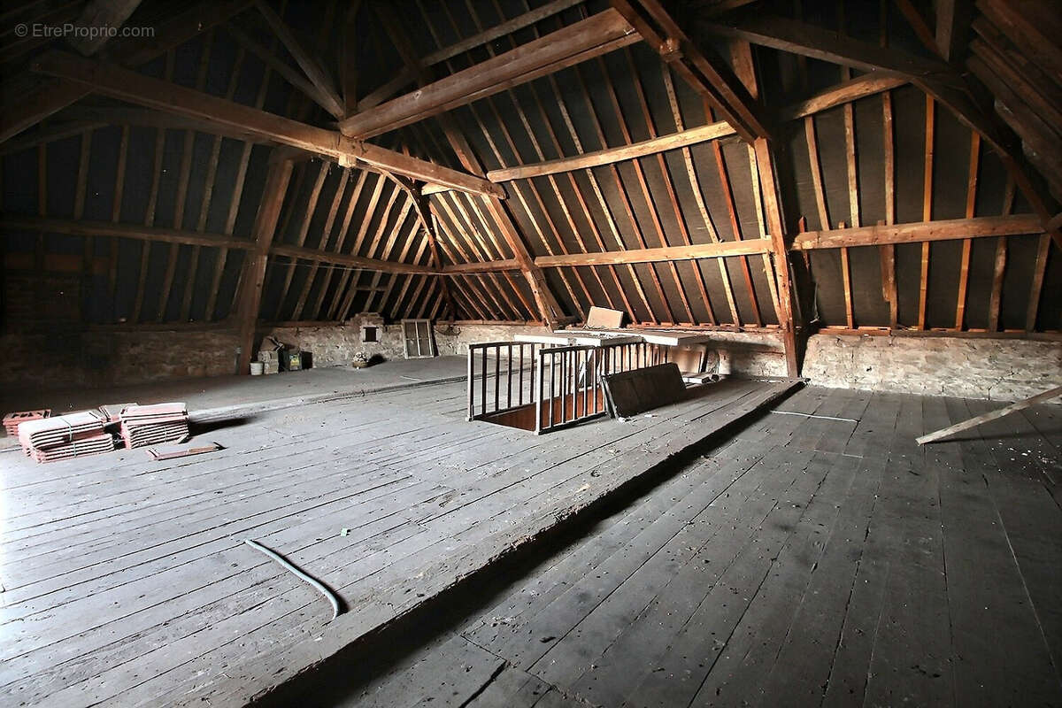 LE PULEY , immeuble à usage commercial et d'habitation - photo 10