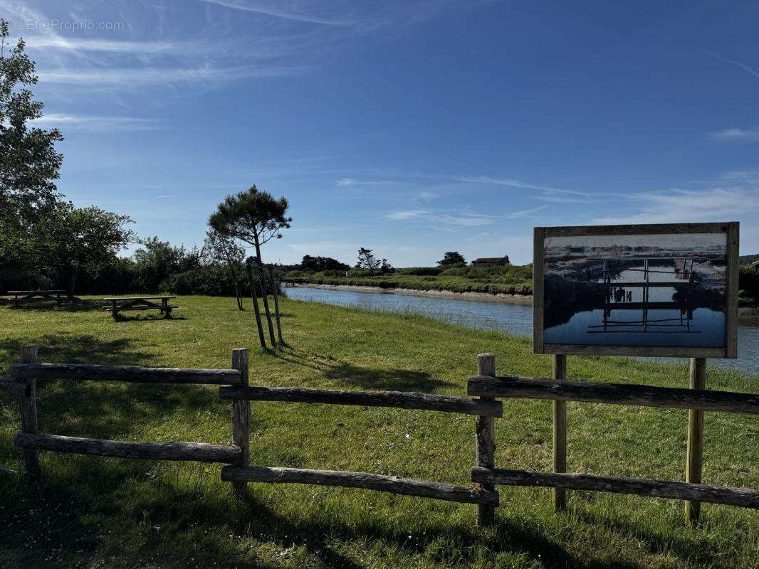 Terrain à L'ILE-D'OLONNE