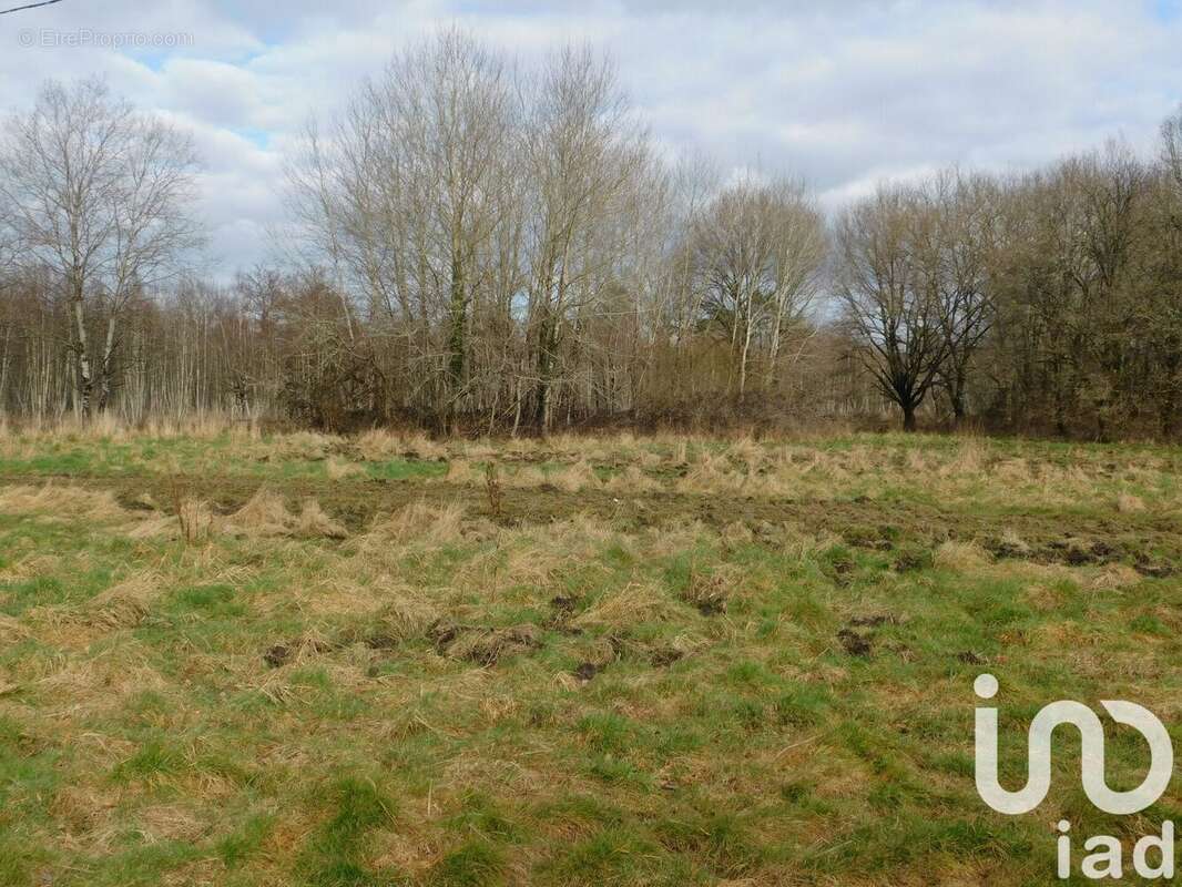 Photo 8 - Maison à SALBRIS