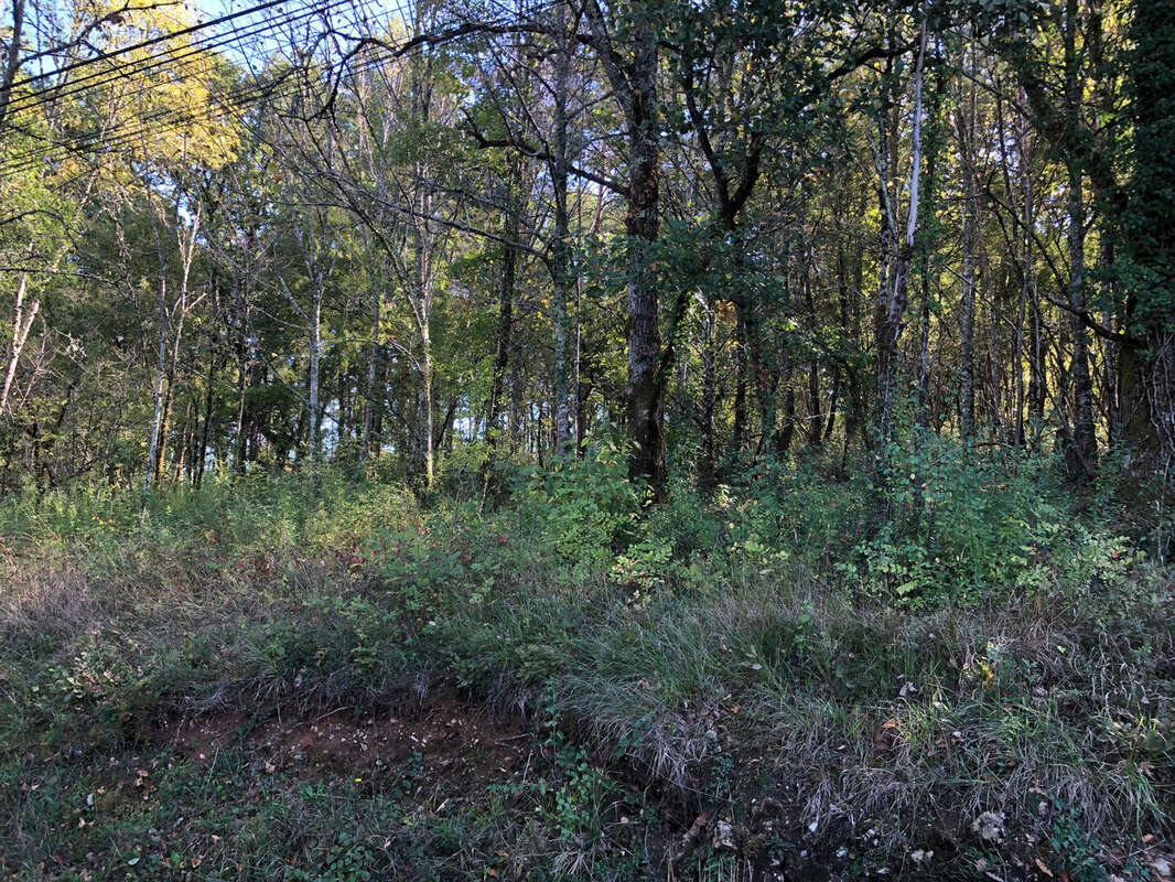 Terrain constructible à LUZECH - photo 3