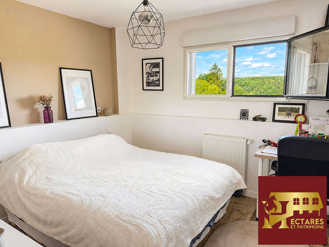 Propriété équestre, 2,5 Hectares, maison récente de 165m2, logement indépendant - photo 12