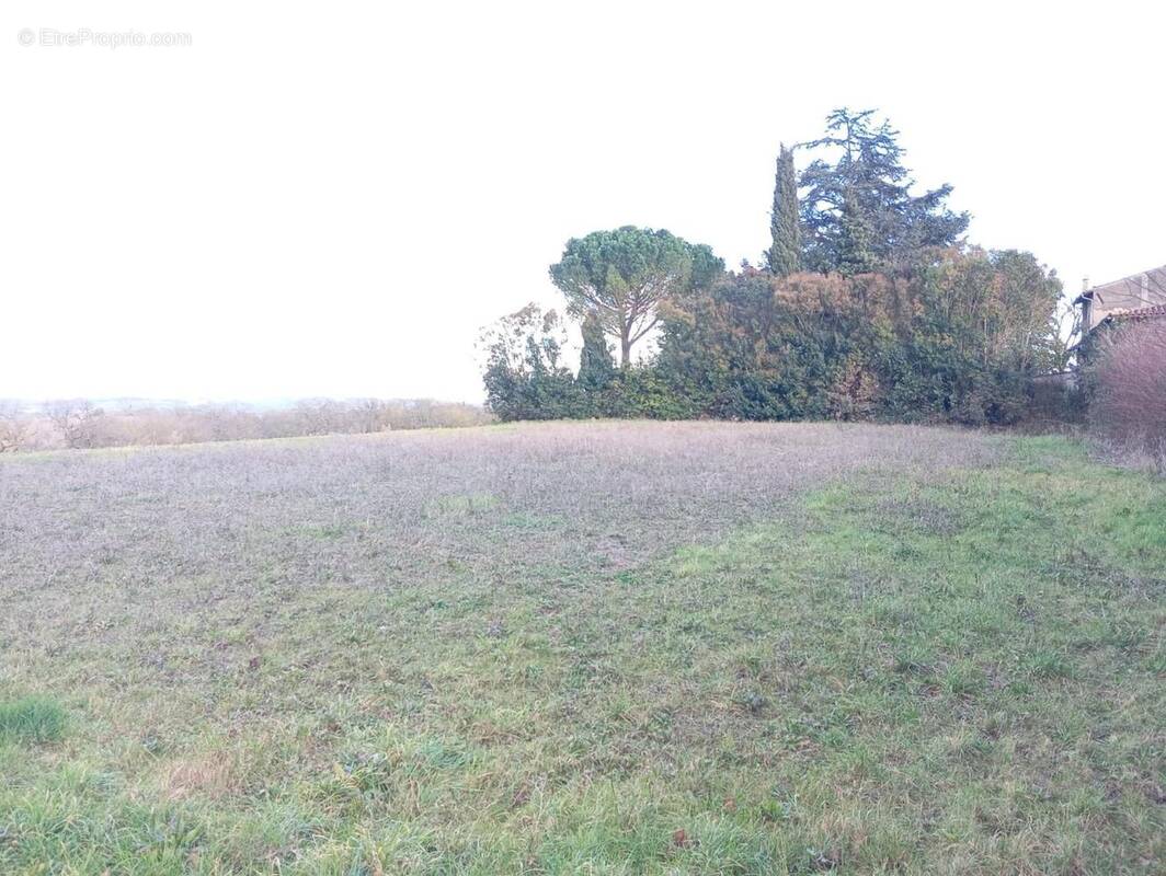 Photo 1 - Terrain à MONTBRUN-LAURAGAIS