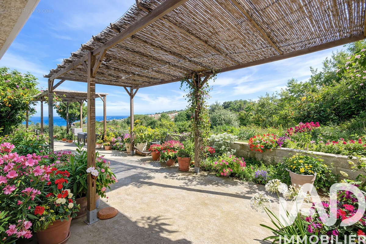Photo 2 - Maison à BANYULS-SUR-MER