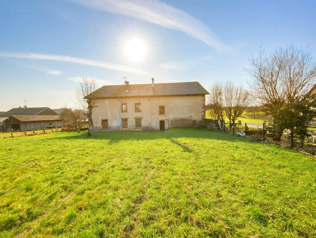 Maison à FRANCALMONT