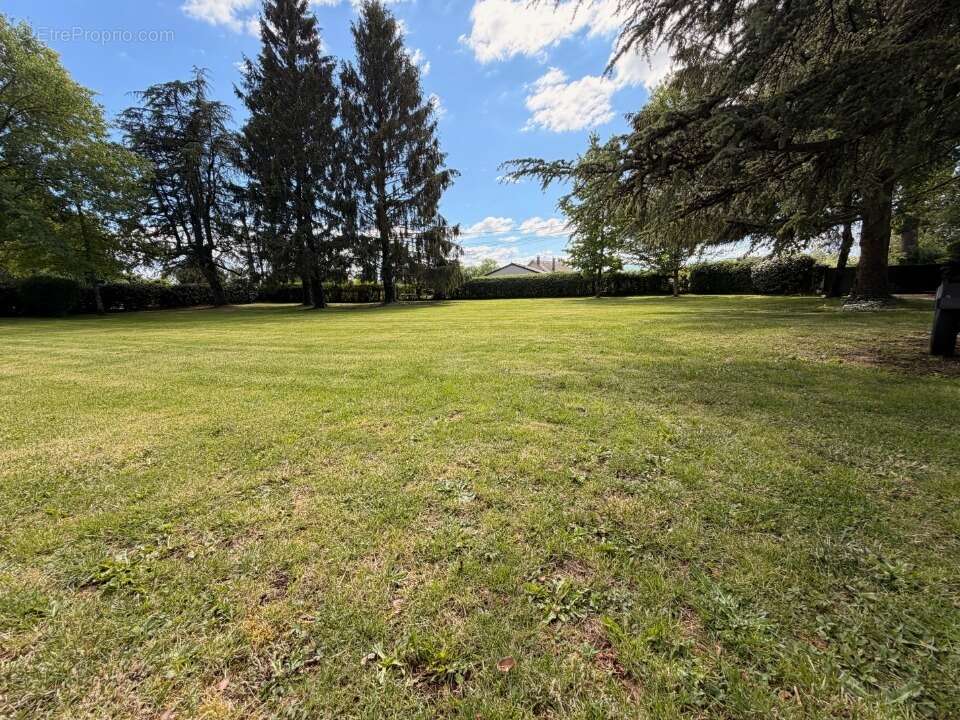 Terrain à NAUCELLES