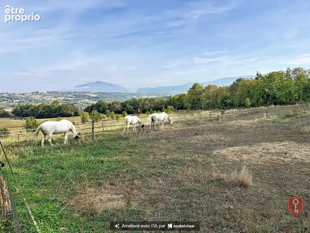Propriété équestre - Seyssel - photo 8