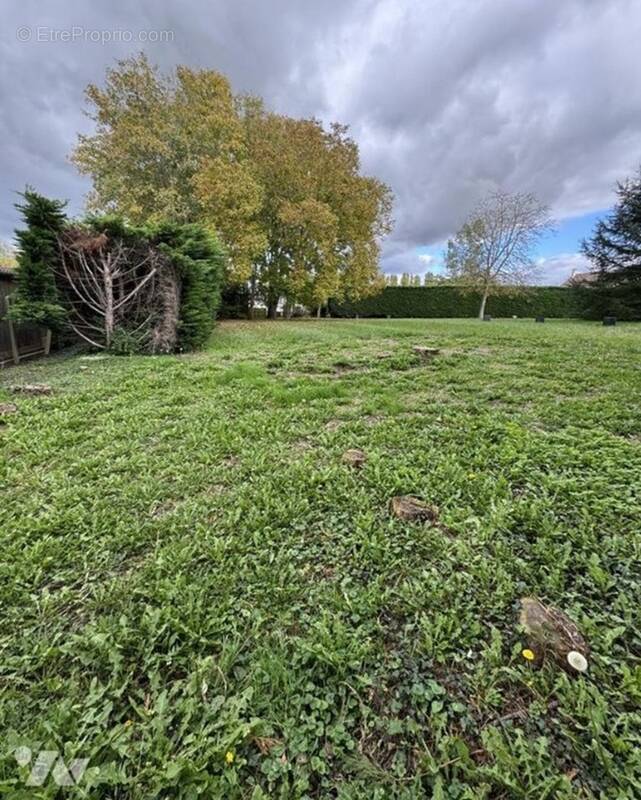 Terrain à GRANDFRESNOY