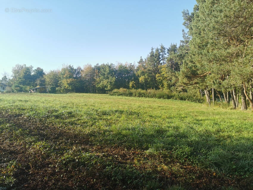 Terrain à LES ANCIZES-COMPS