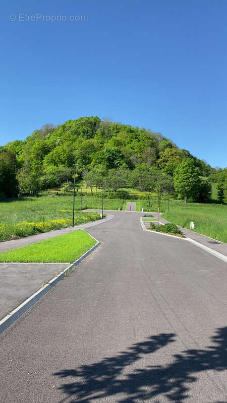 Terrain à APREMONT-LA-FORET